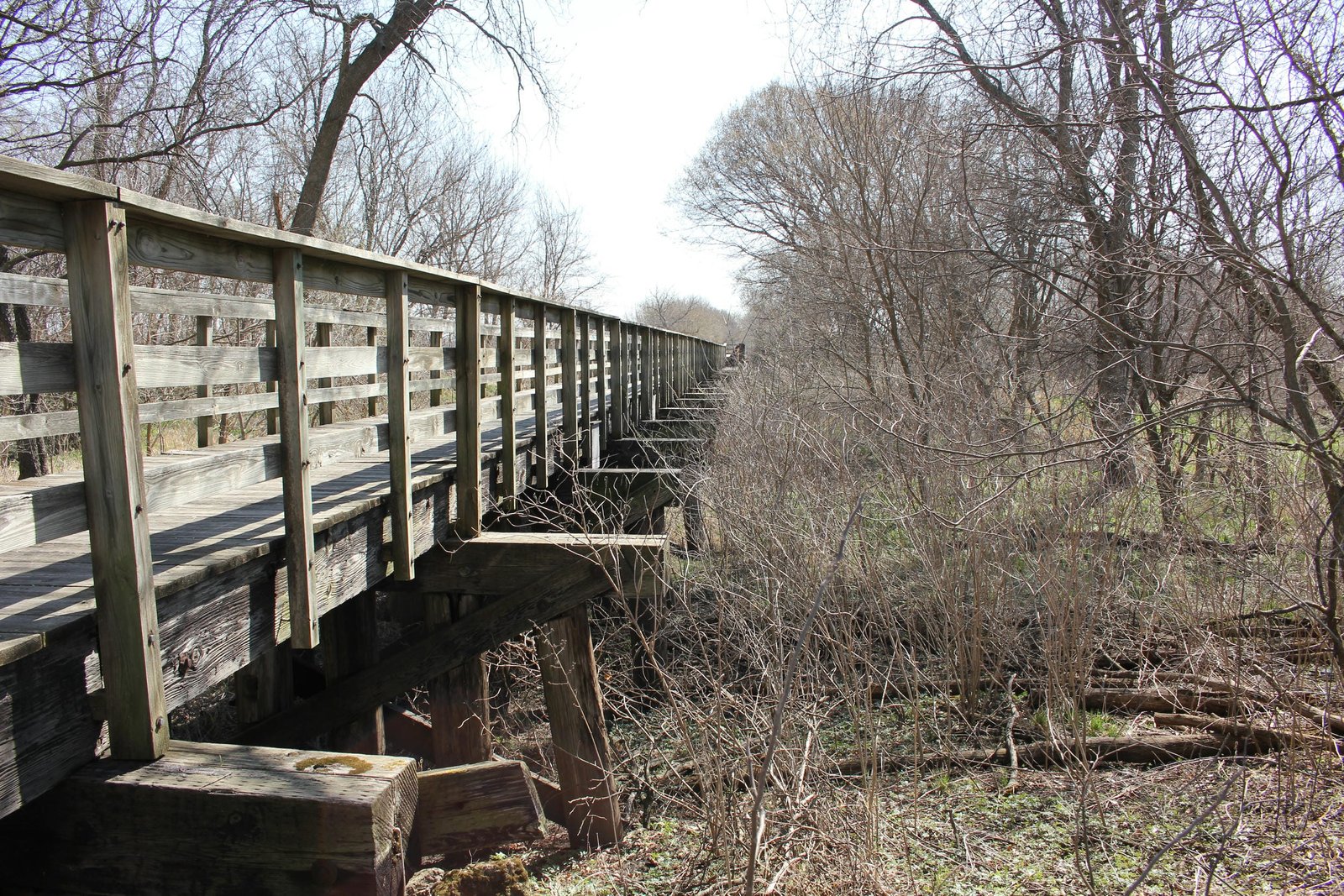 Looking east (railroad north)